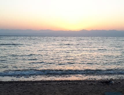 Image 1 for גיטריסט?