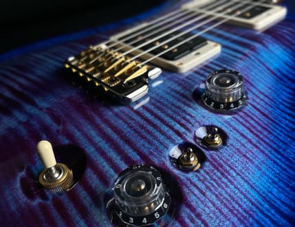 Image 2 for Wild Guitars