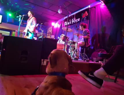 Image 1 for ROStO the band