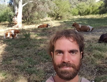 תמונה 1 עבור Omer Bar‎‏