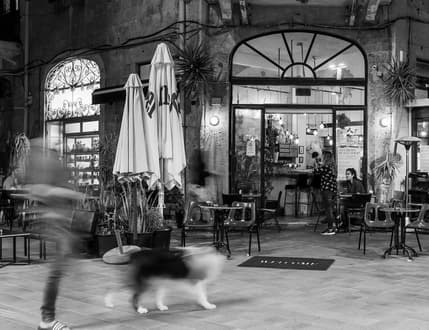 Image 3 for Casino San Remo