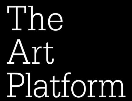 תמונה 2 עבור The Art Platform