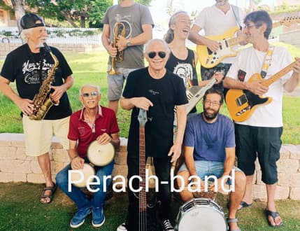 Image 1 for להקת פרח - Perah Band