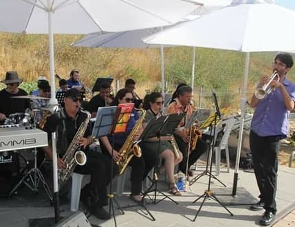 תמונה 2 עבור Big Band Jerusalem אוויר לנשיפה